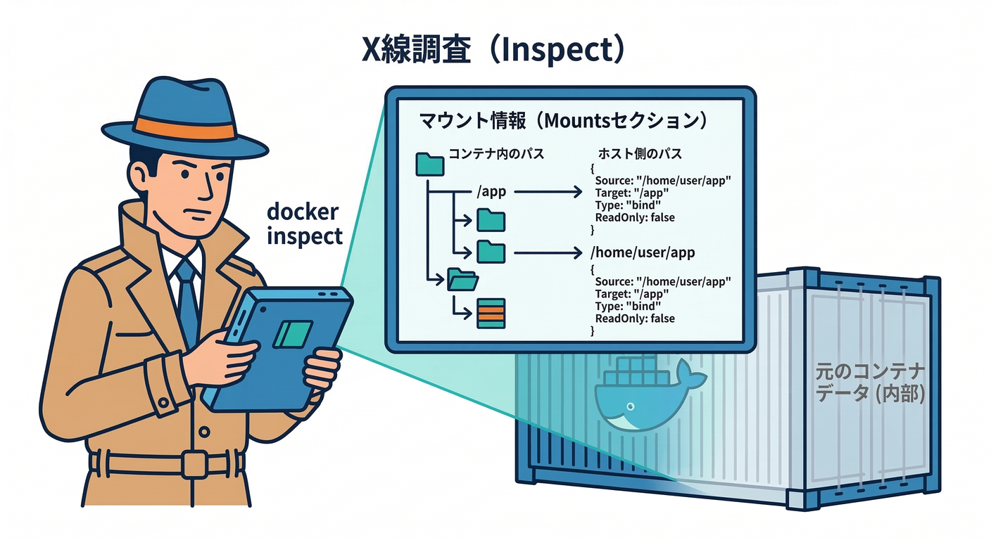 Inspect X-Ray